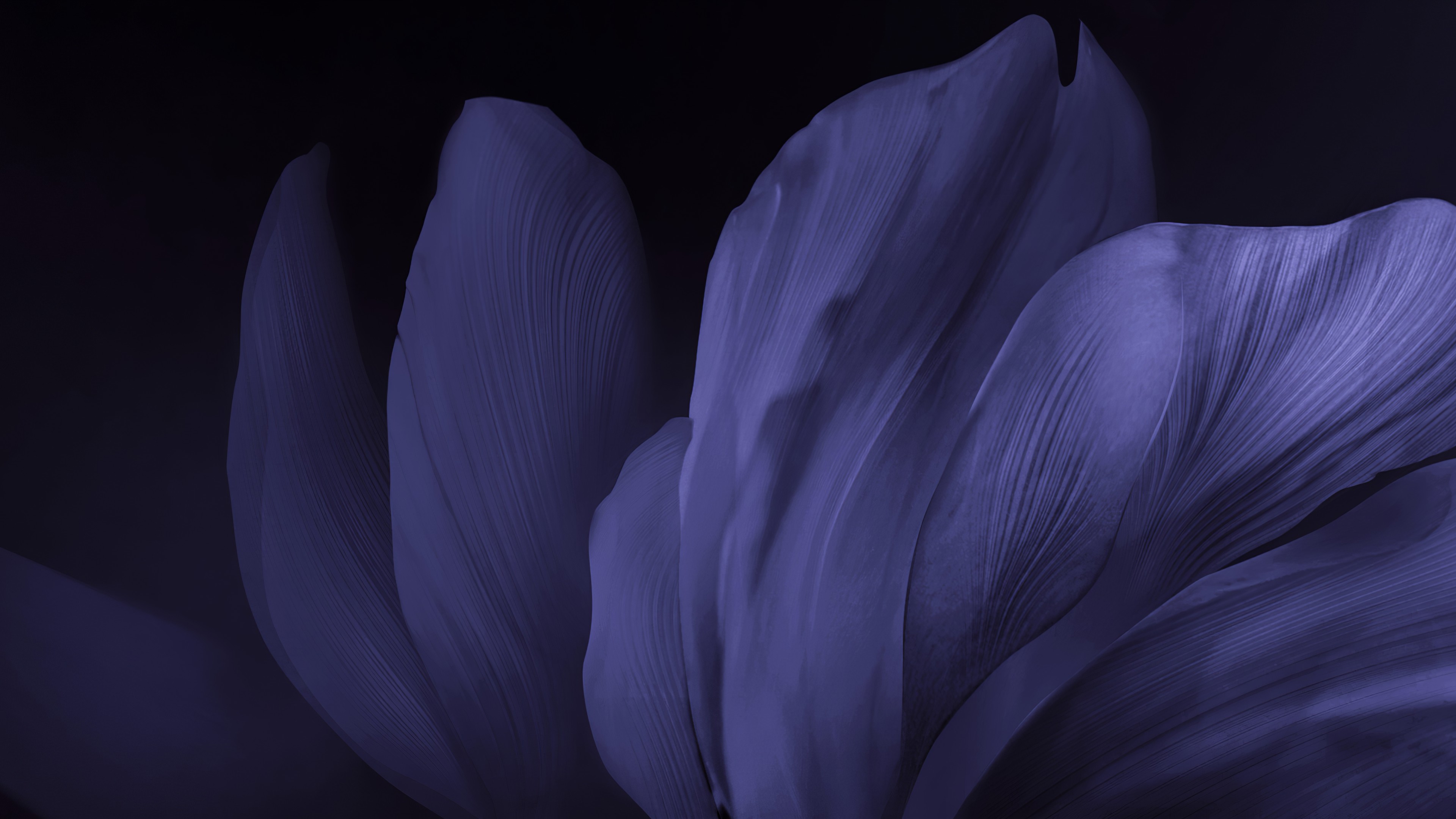 Vivo V17, colorful, Android 10, abstract, 4K, HD Wallpaper