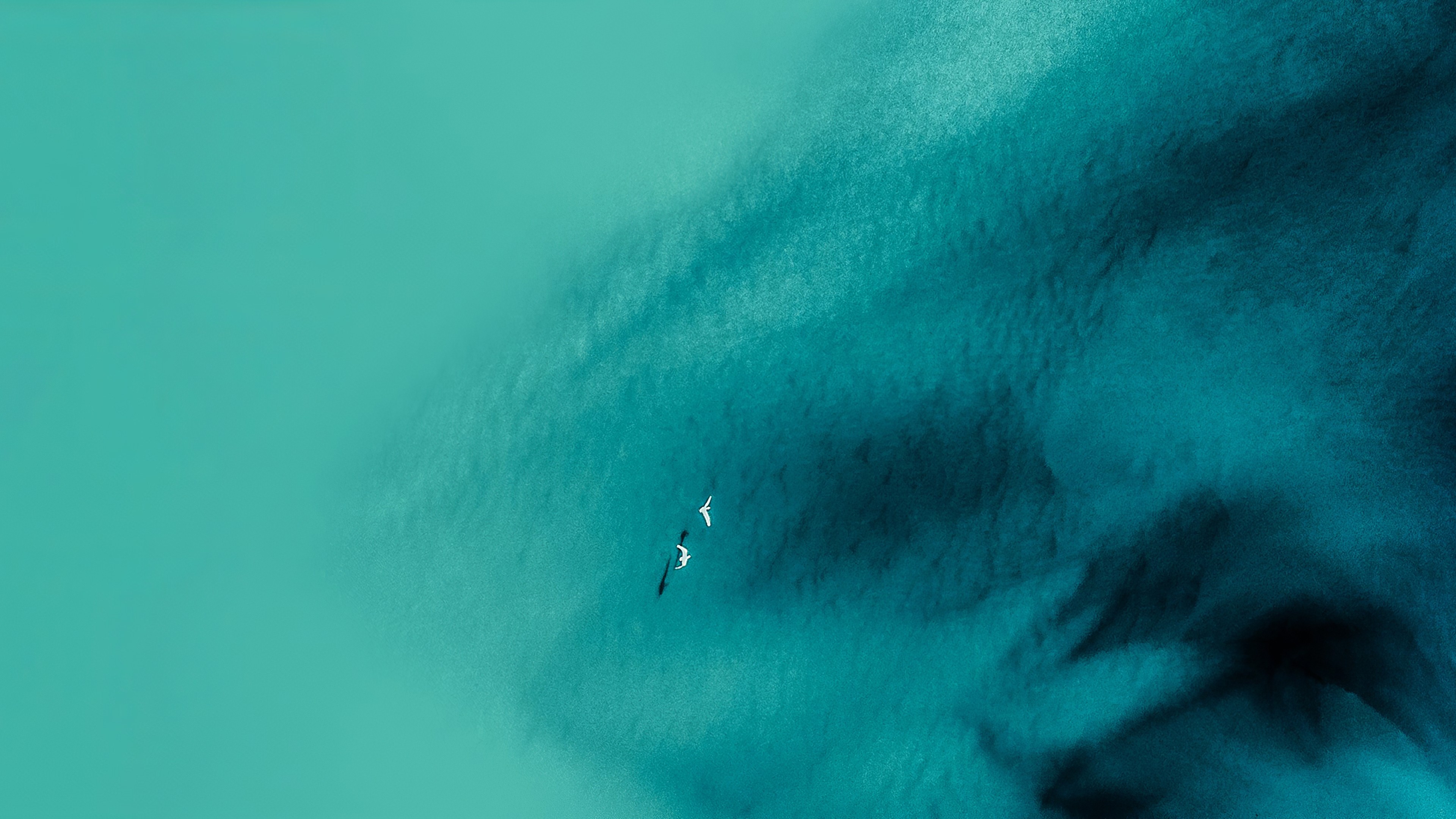 ColorOS 7, Android 10, abstract, 4K, HD Wallpaper