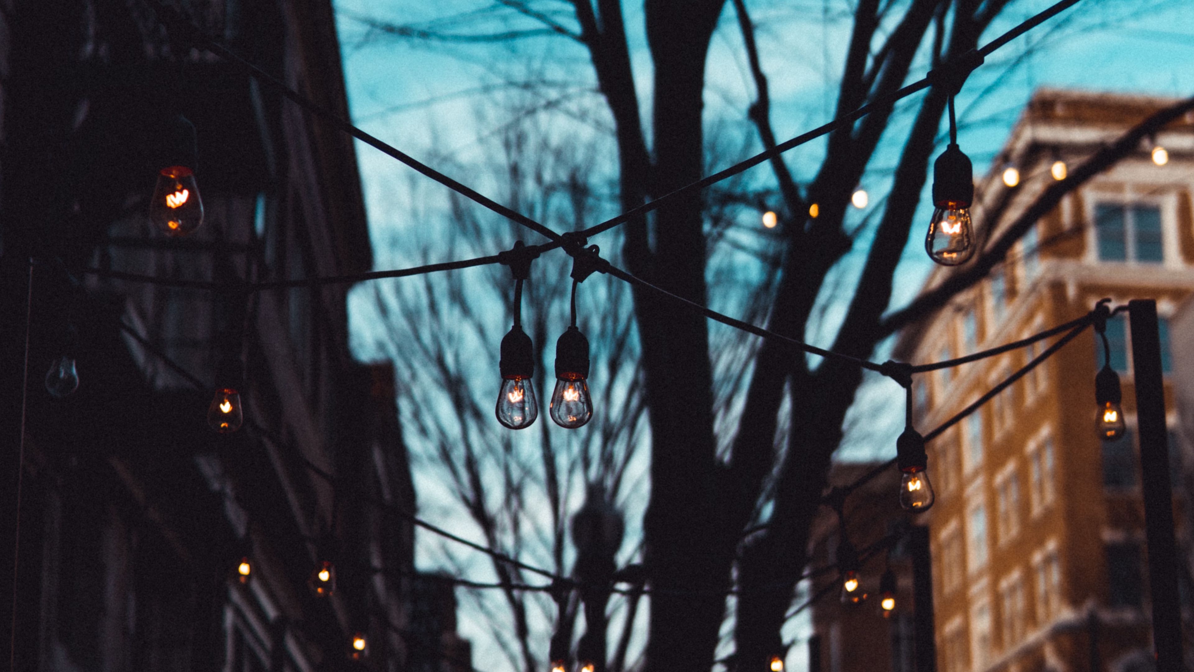 street, lamps, trees, evening, 4k, HD Wallpaper