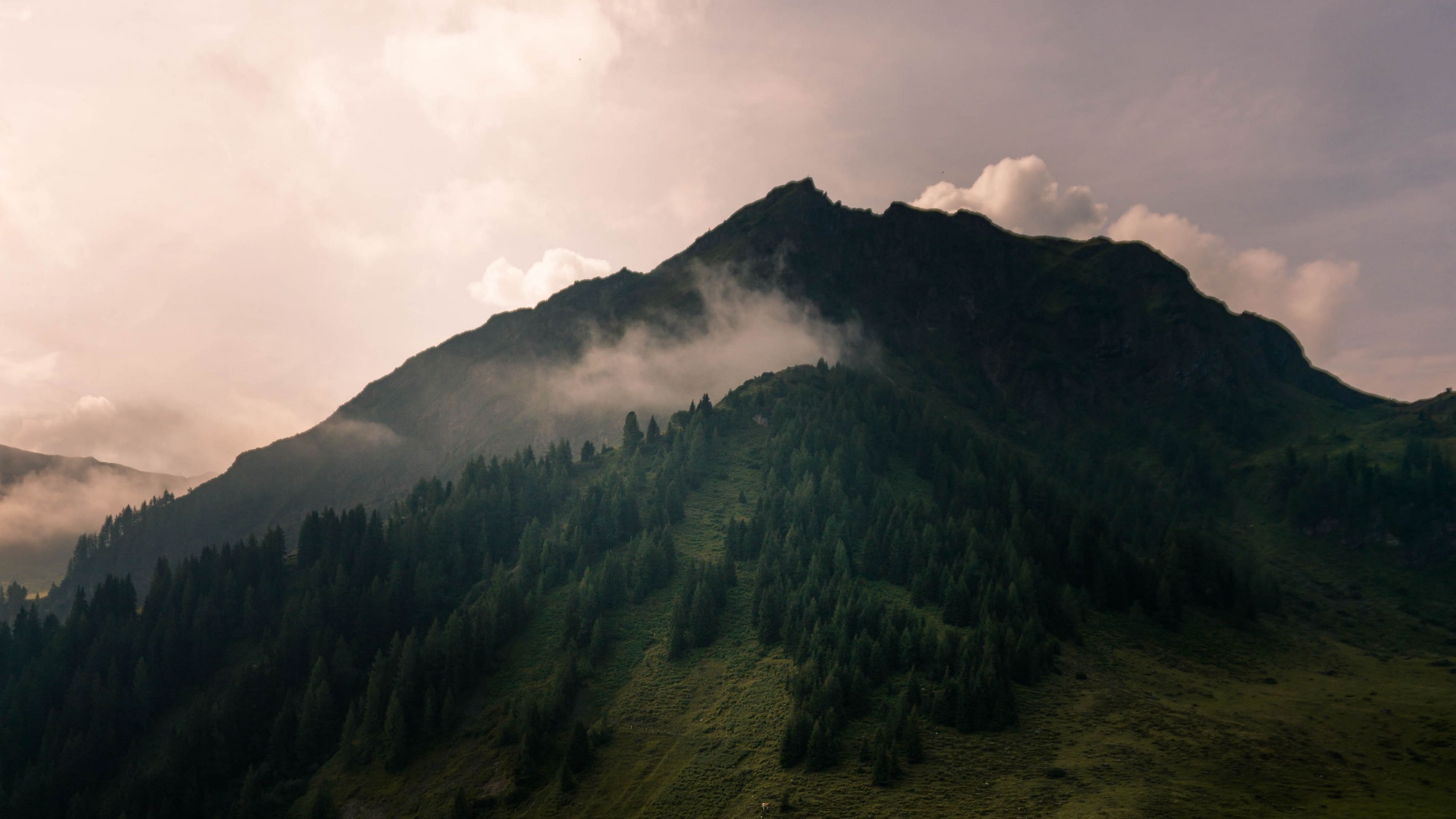 valley, peak, green, forest, 4k, HD Wallpaper