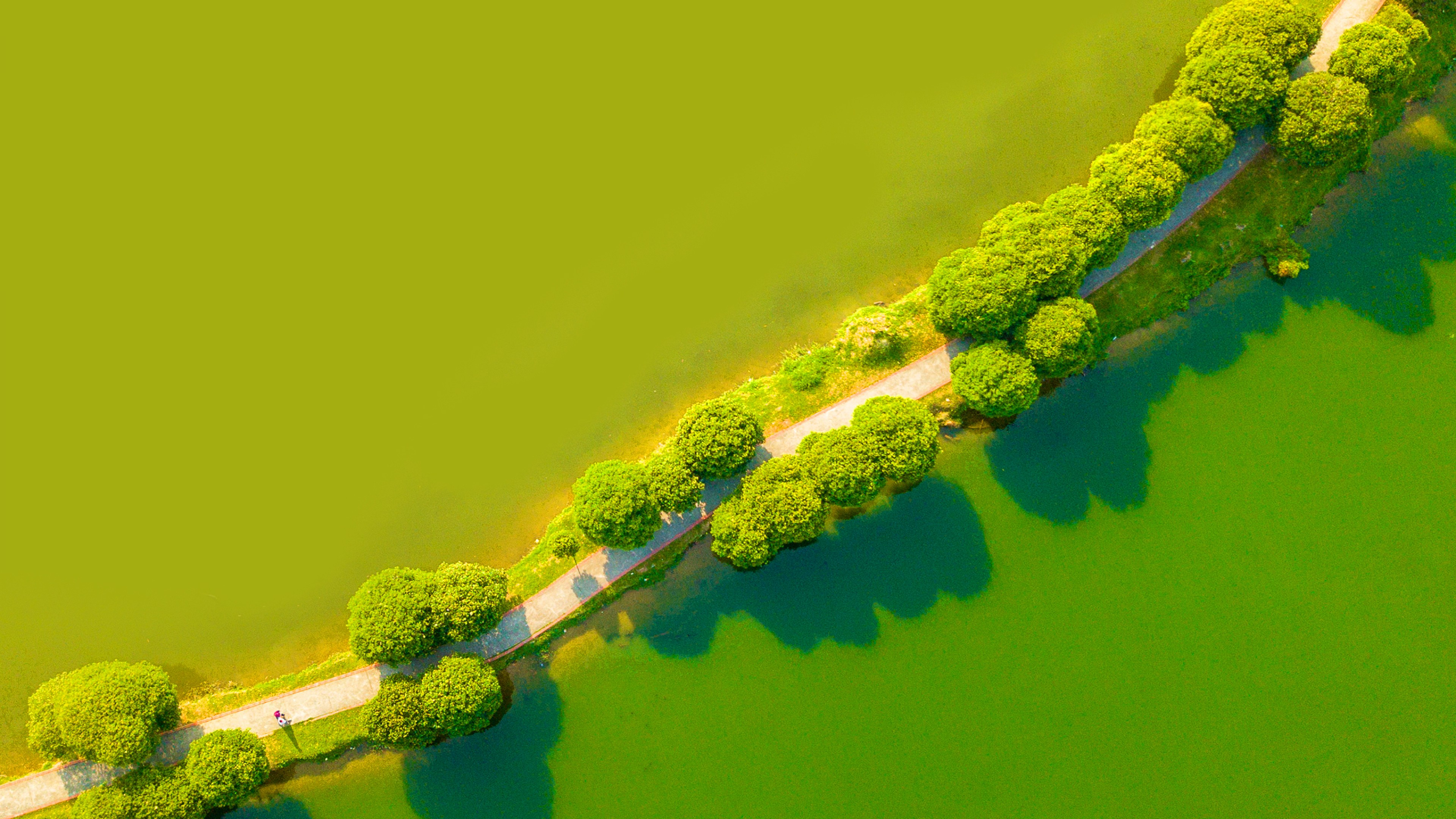 LG G8 ThinQ, colorful, 4K, HD Wallpaper