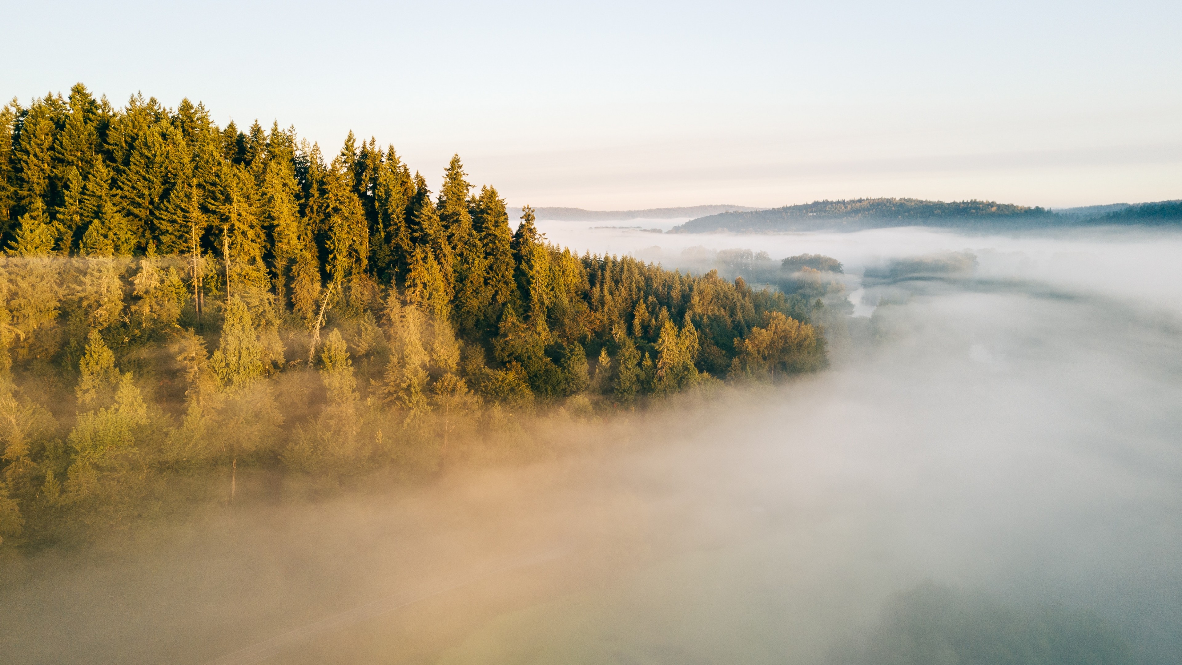 Fog, Landscape, 4K, HD Wallpaper