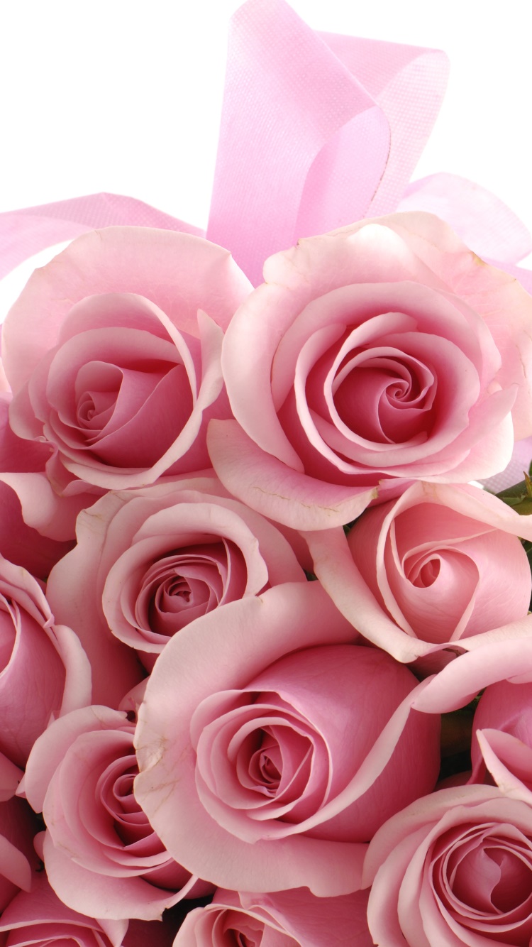 Earth Flower, 750x1334, Phone HD Wallpaper