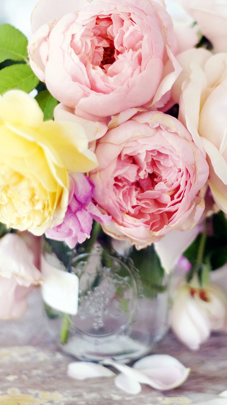 Man Made Flower, Vase, Man Made, Peony, Pink Flower, Earth, 750x1334, Phone HD Wallpaper