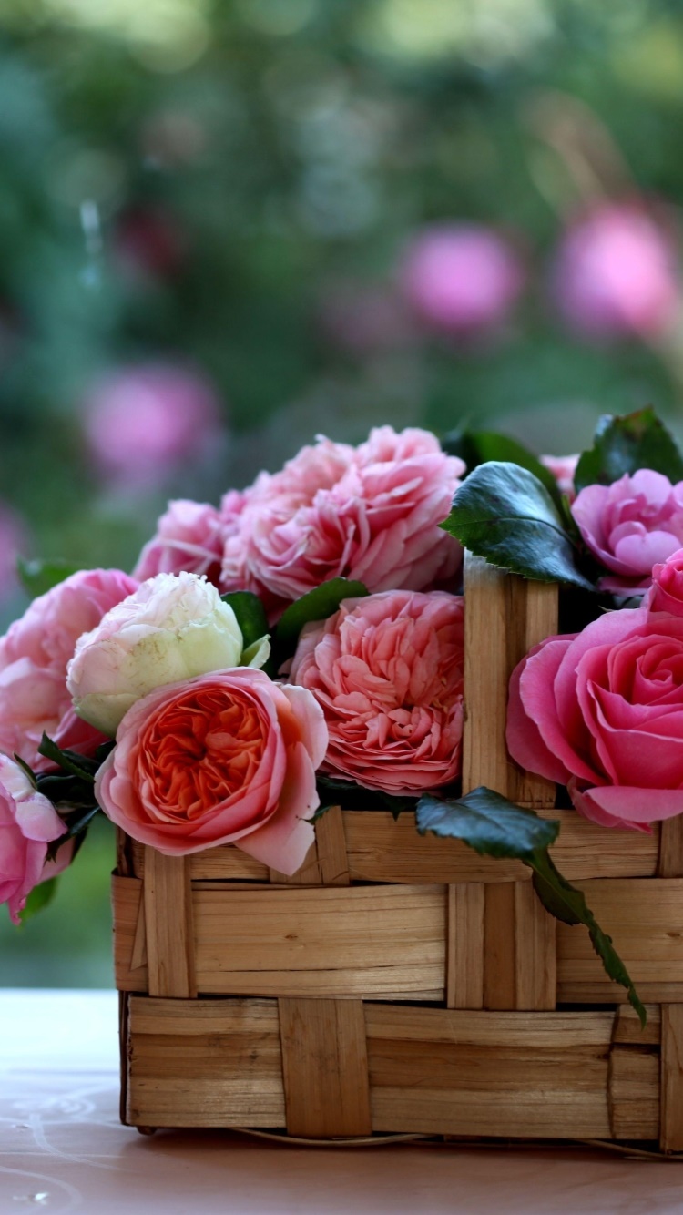 Man Made Flower, Bokeh, Rose, Still Life, Basket, Pink Flower, 750x1334, Phone HD Wallpaper
