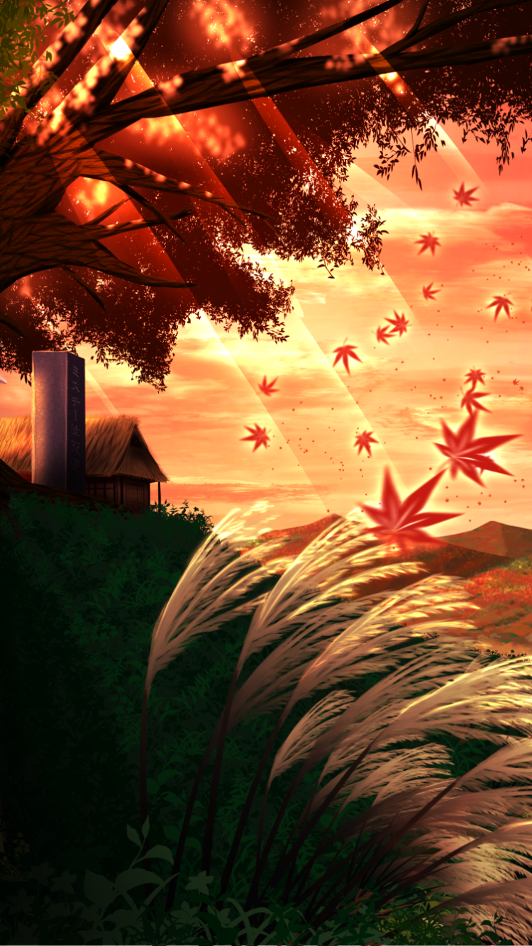 Anime Touhou, 750x1334, Phone HD Wallpaper