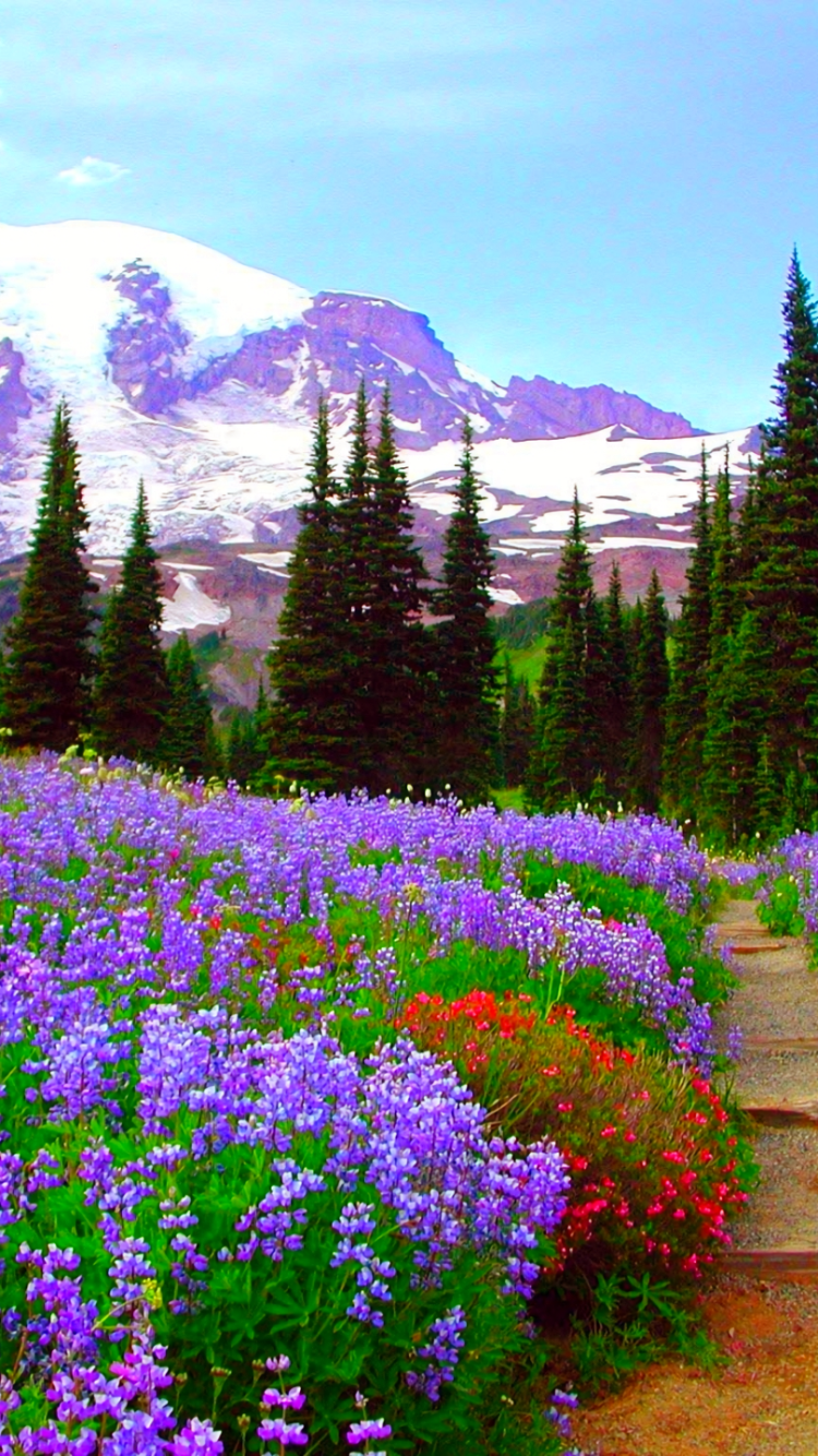 Earth Flower, Earth, Purple Flower, Mountain, Tree, Field, 750x1334, Phone HD Wallpaper