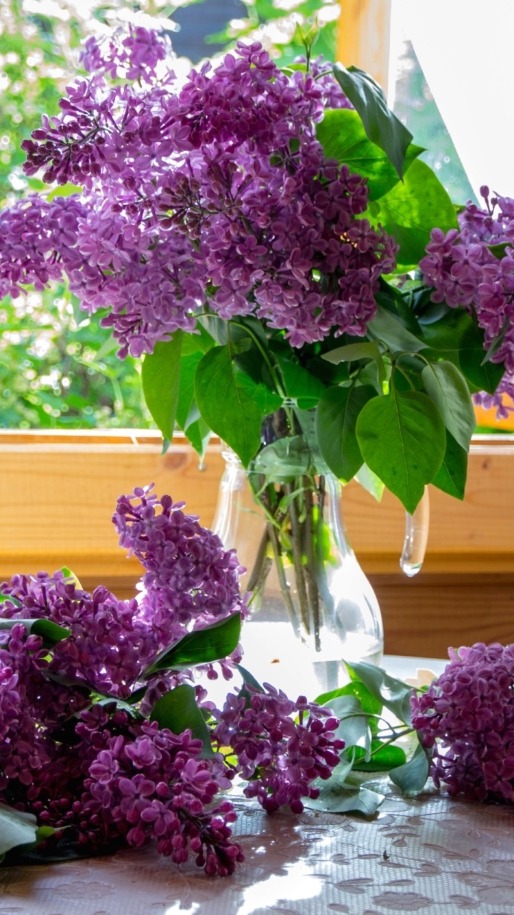 Man Made Flower, Purple Flower, Lilac, Vase, 750x1334, Phone HD Wallpaper