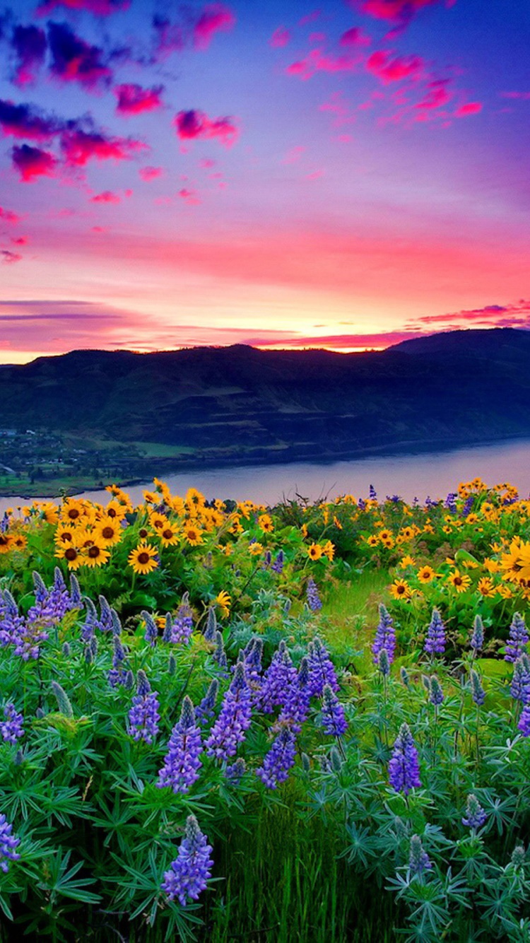 Earth Flower, Spring, Landscape, Lake, Earth, Mountain, 750x1334, Phone HD Wallpaper