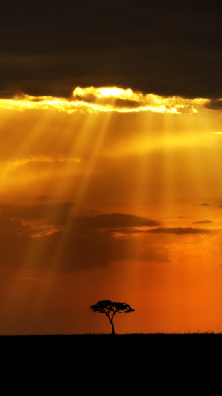 Earth Sunset, 750x1334, Phone HD Wallpaper