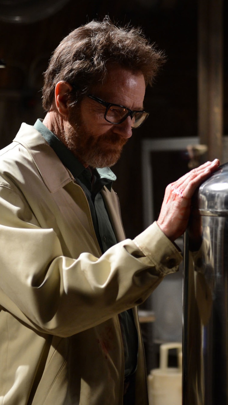 TV Show Breaking Bad, Bryan Cranston, Walter White, 750x1334 Phone HD — free download