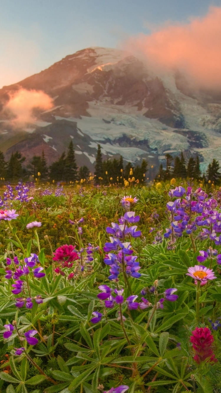 Earth Flower, Colorful, Mountain, Earth, Colors, Meadow, 750x1334, Phone HD Wallpaper