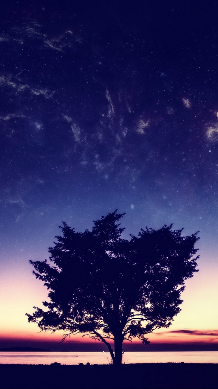 Fantasy Sunset, 750x1334, Phone HD Wallpaper