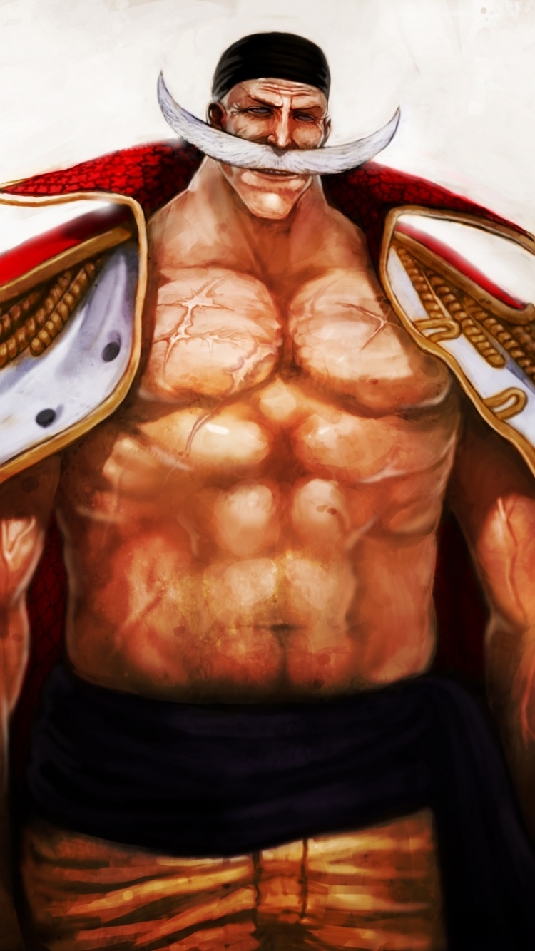 Anime One Piece, 750x1334, Phone HD Wallpaper