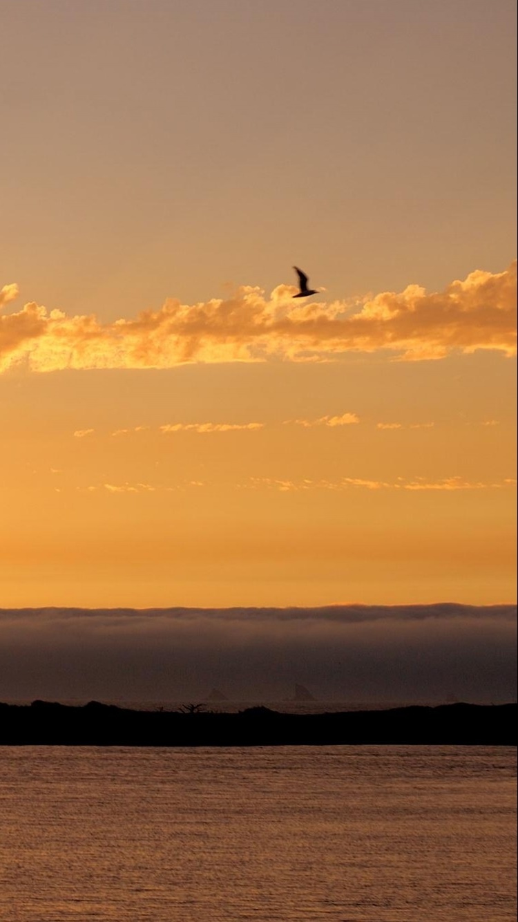 Earth Sunset, 750x1334, Phone HD Wallpaper