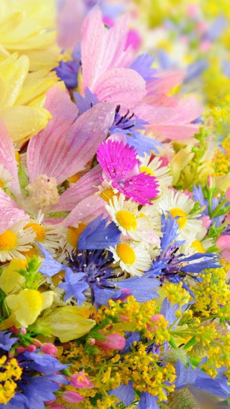 Artistic Flower, Pastel, 750x1334, Phone HD Wallpaper