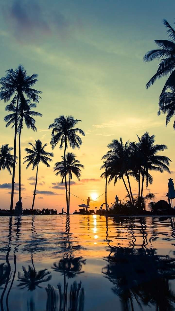 Photography Sunset, Water, Palm Tree, Reflection, 720x1280, Phone HD Wallpaper