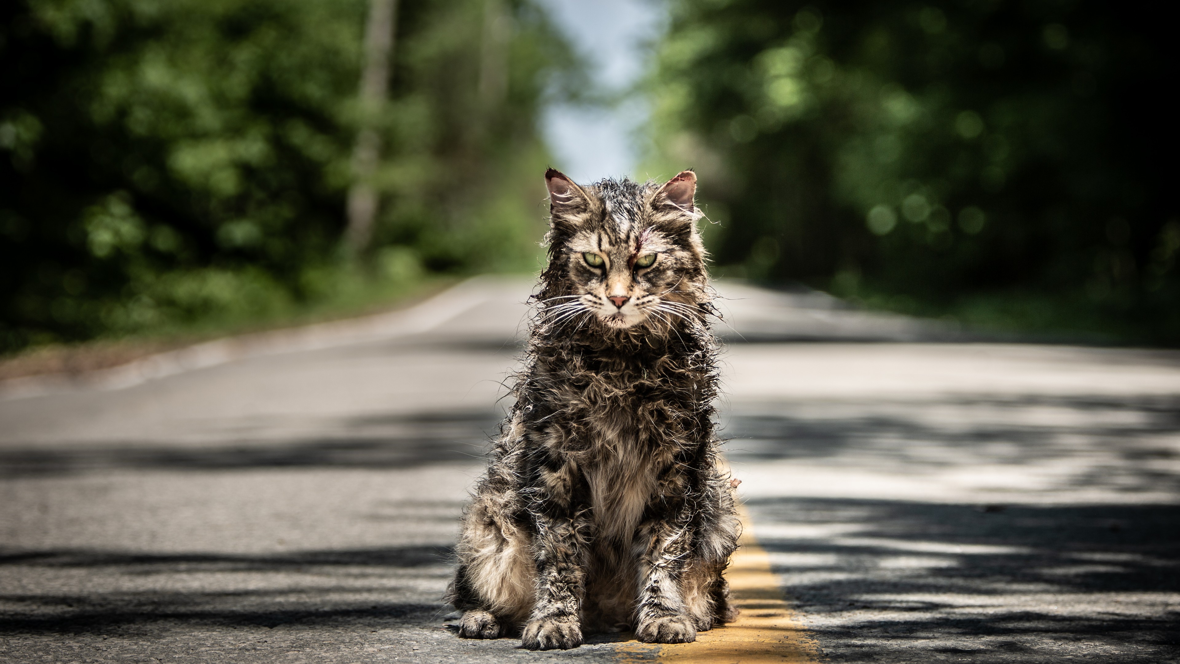 Pet Sematary, 4K, HD Wallpaper