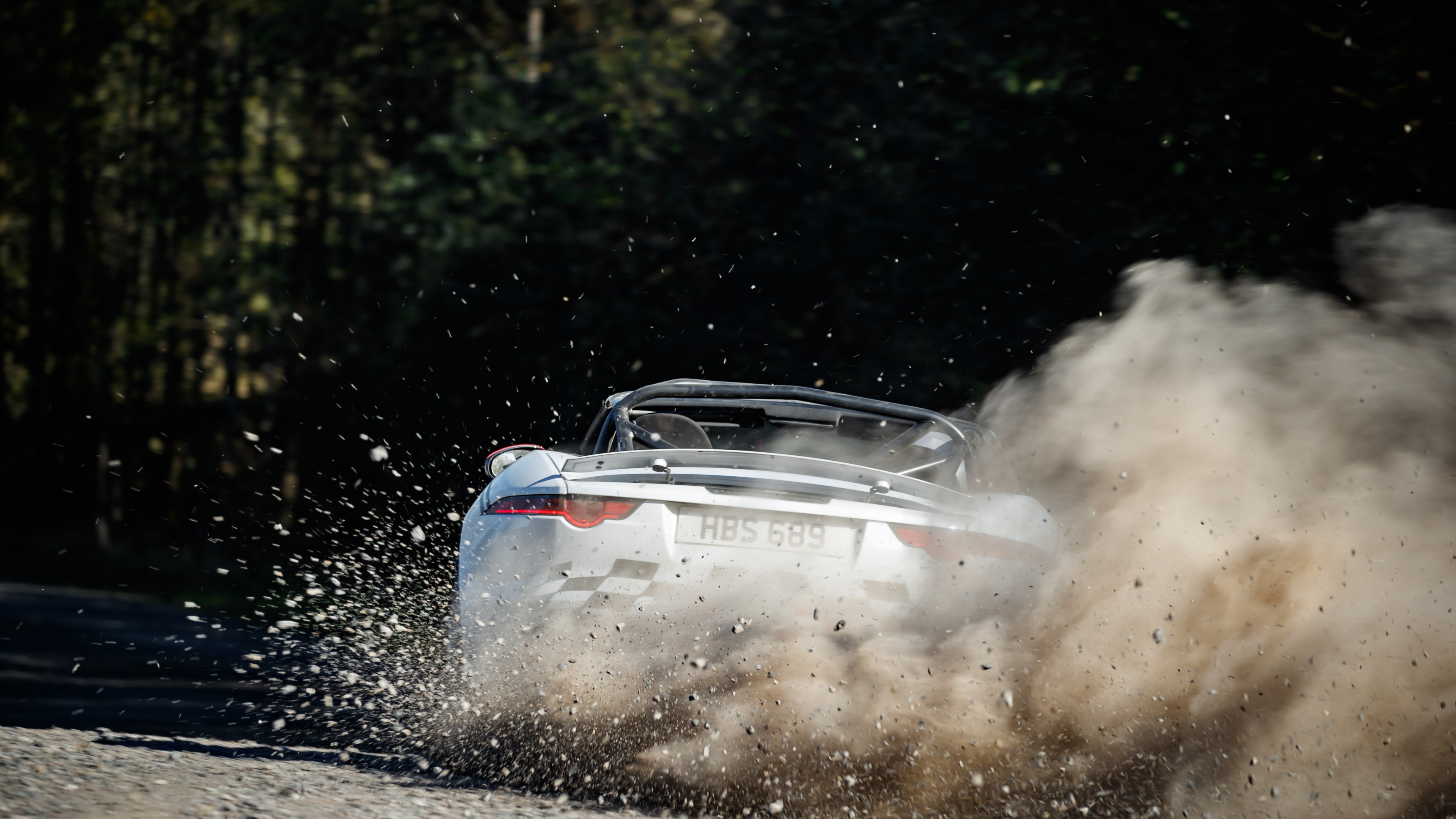 Jaguar F-Type Rally Car, 2018 Cars, 4K, HD Wallpaper