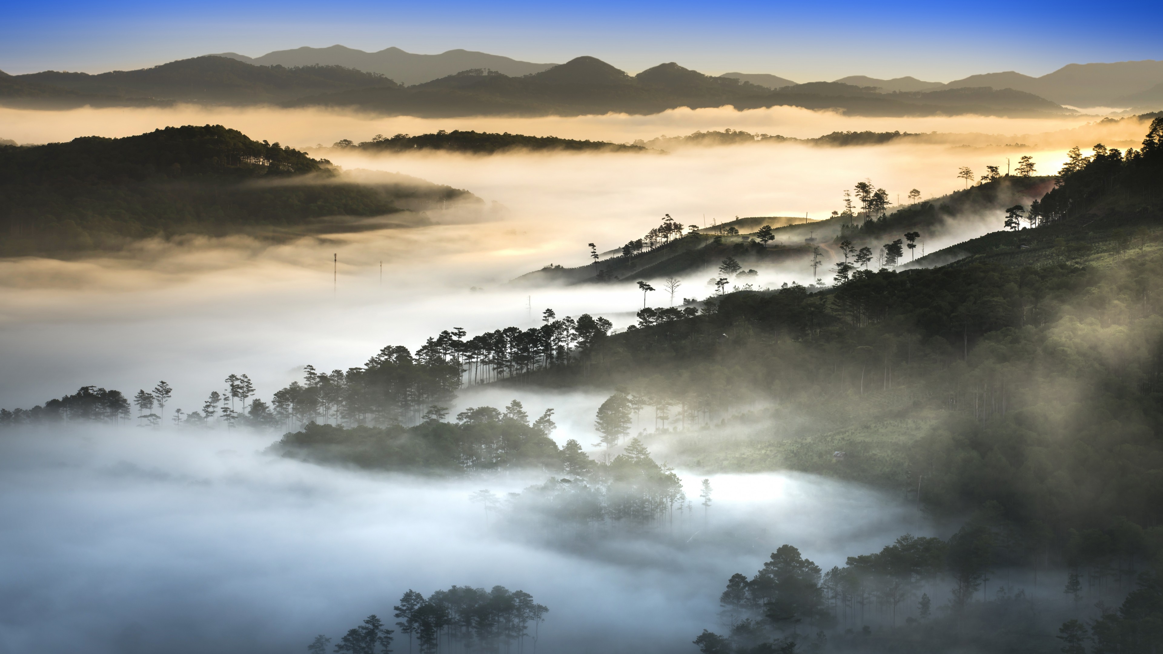 sunset, fog, forest, mountains, 4K, HD Wallpaper