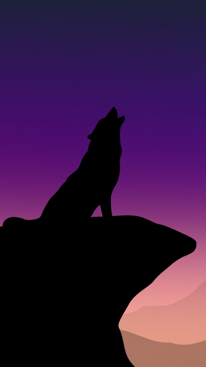 Animal Wolf, Night, Silhouette, 720x1280, Phone HD Wallpaper