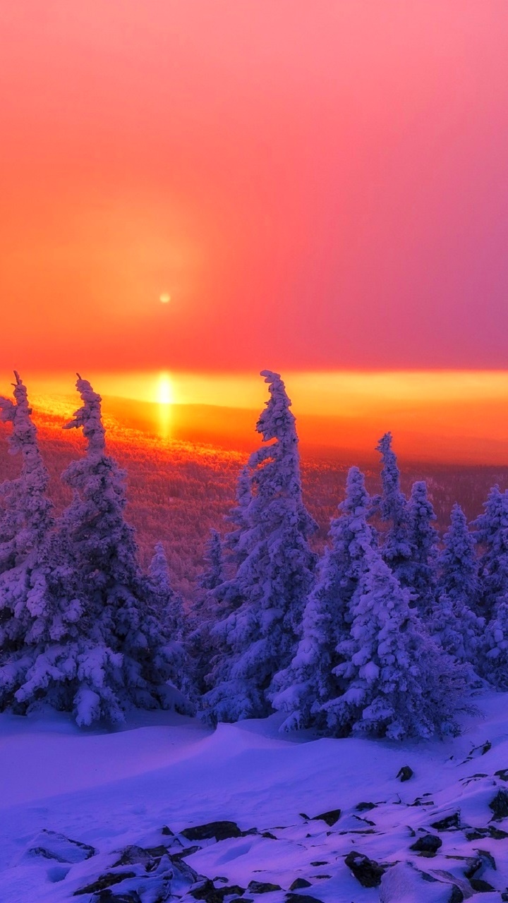 Earth Sunset, Sky, Forest, Landscape, Winter, Nature, 720x1280, Phone HD Wallpaper