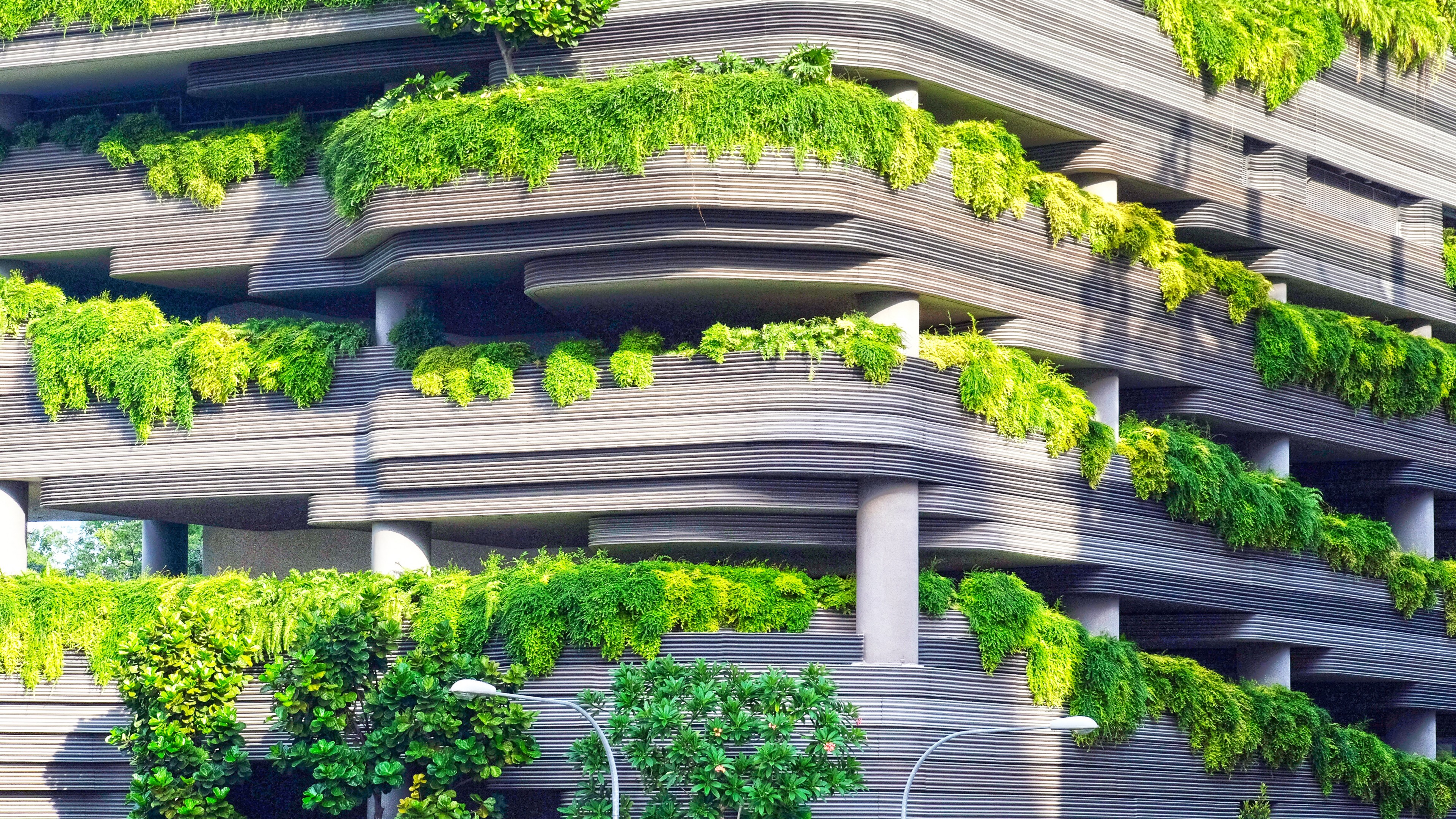 abstract, 4k, building, trees, HD Wallpaper