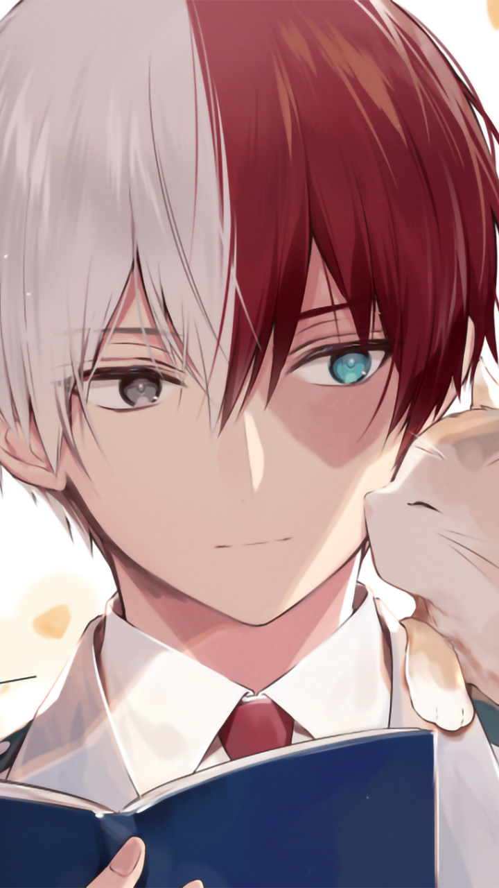 Anime My Hero Academia, Shoto Todoroki, 720x1280, Phone HD Wallpaper