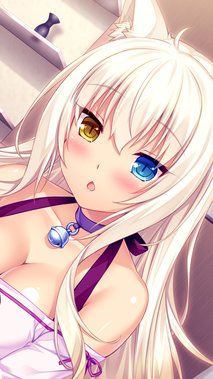 Anime NEKOPARA, Coconut (Nekopara), Collar, Blonde, Heterochromia, Cat Girl, 720x1280, Phone HD Wallpaper
