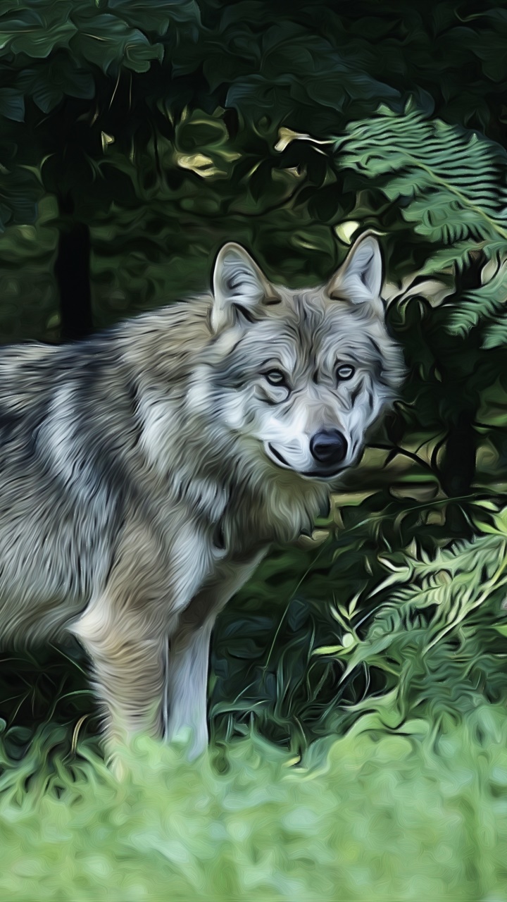 Animal Wolf, Oil Painting, 720x1280, Phone HD Wallpaper