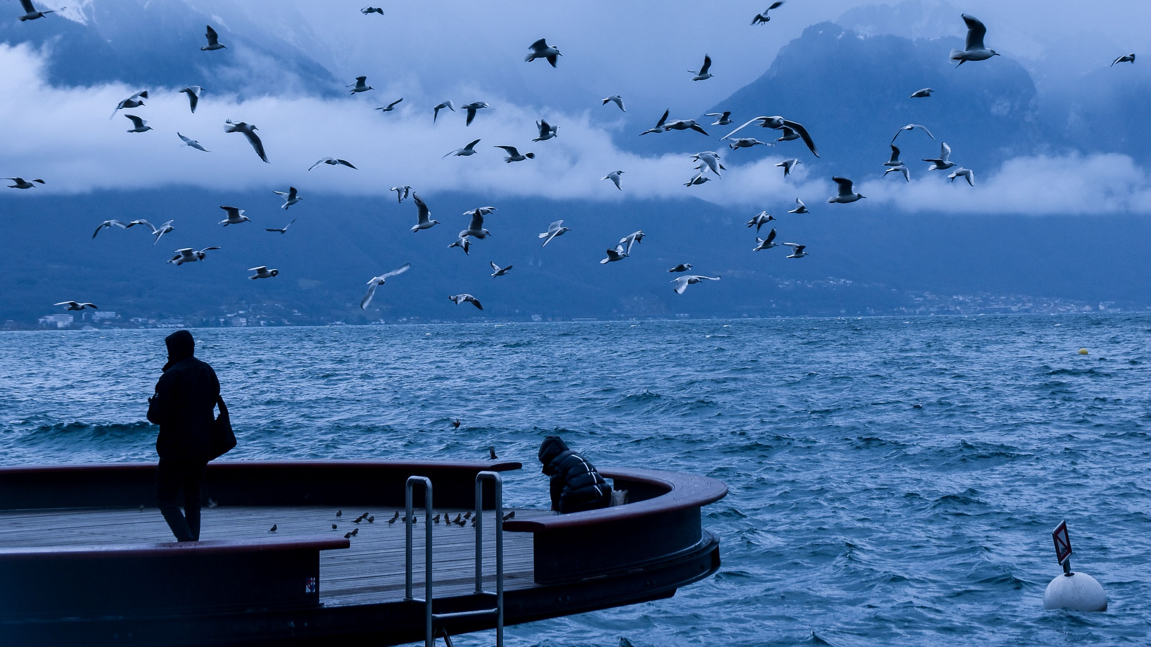 pier, people, birds, sea, nature, 4k, HD Wallpaper