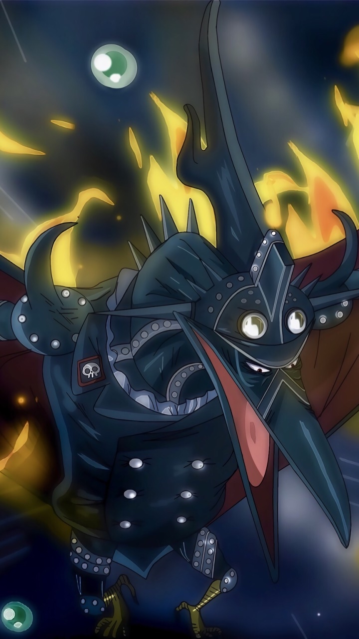 Anime One Piece, King The Wildfire, 720x1280, Phone HD Wallpaper