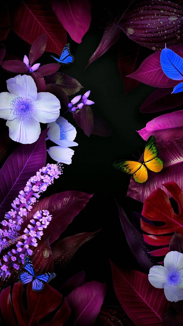 Artistic Flower, Butterfly, Colorful, 720x1280, Phone HD Wallpaper