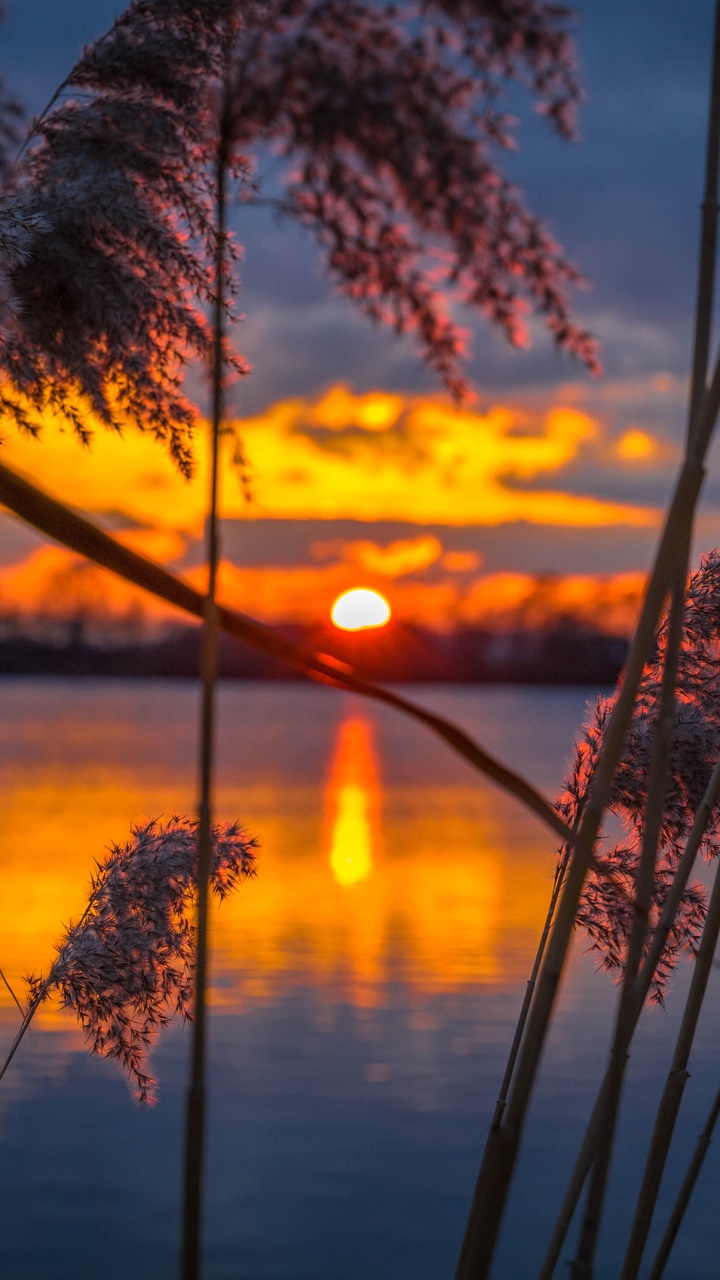 Earth Sunset, 720x1280, Phone HD Wallpaper