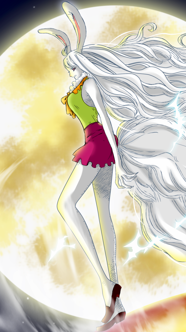 Anime One Piece, Carrot (One Piece), 720x1280, Phone HD Wallpaper