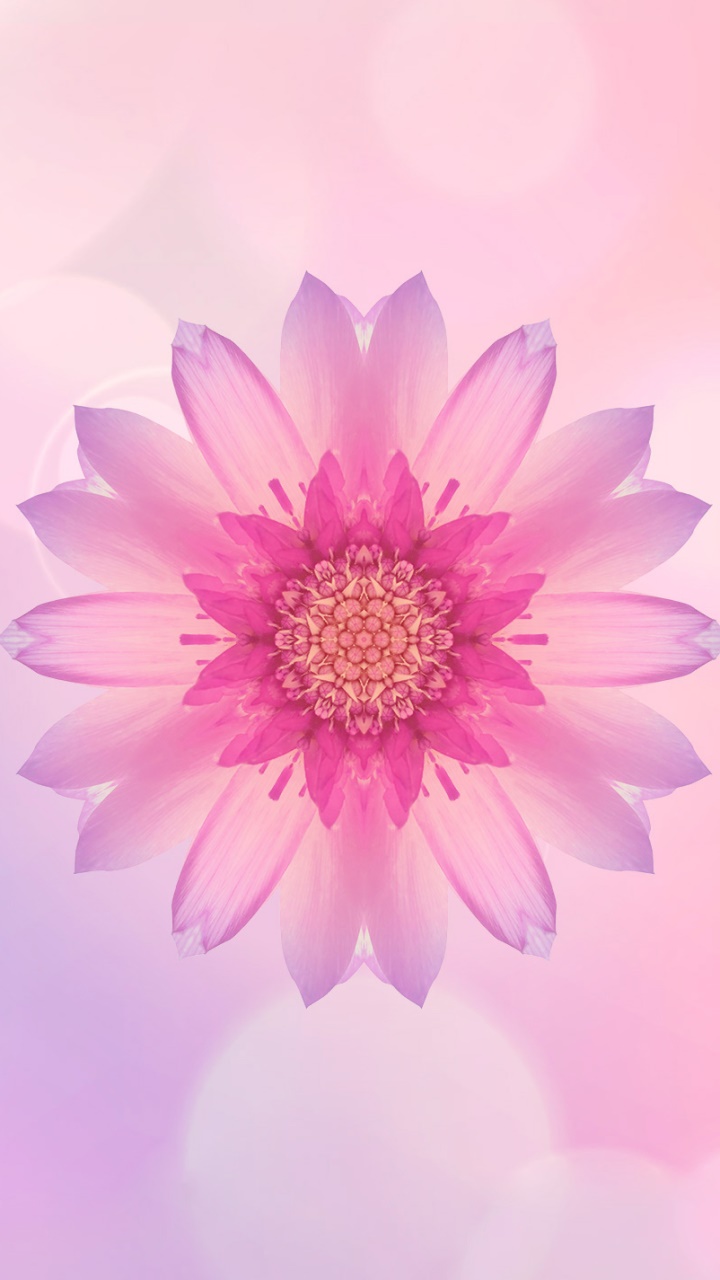 Artistic Flower, 720x1280, Phone HD Wallpaper