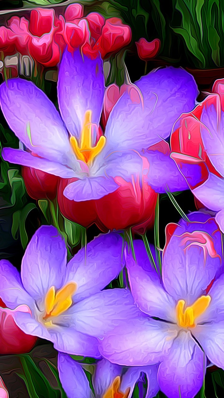 Artistic Flower, Painting, Crocus, Pink Flower, Purple Flower, Tulip, 720x1280, Phone HD Wallpaper