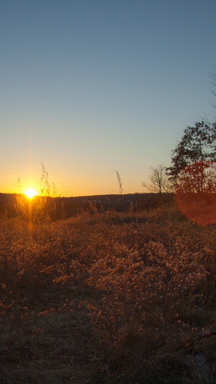 Earth Sunset, Grass, East Coast, Nothern, Fall, New England, 720x1280, Phone HD Wallpaper