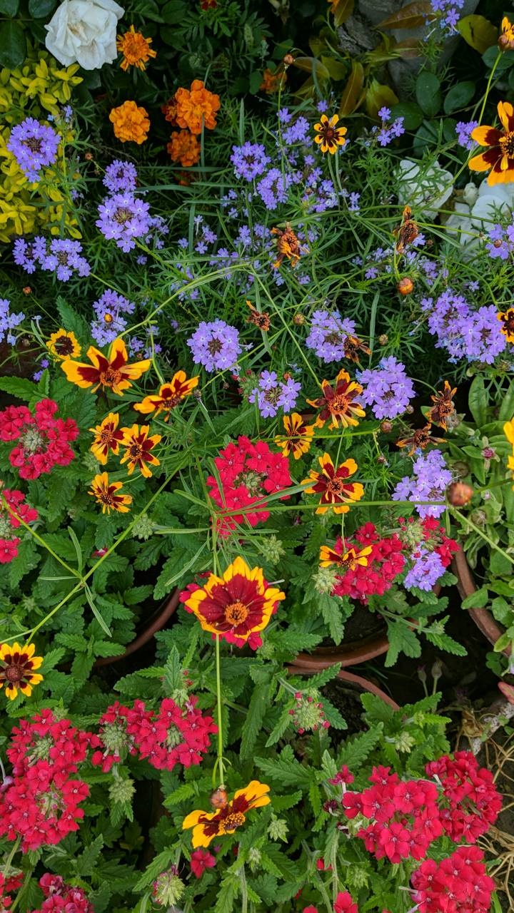 Earth Flower, Spring, Earth, 720x1280, Phone HD Wallpaper