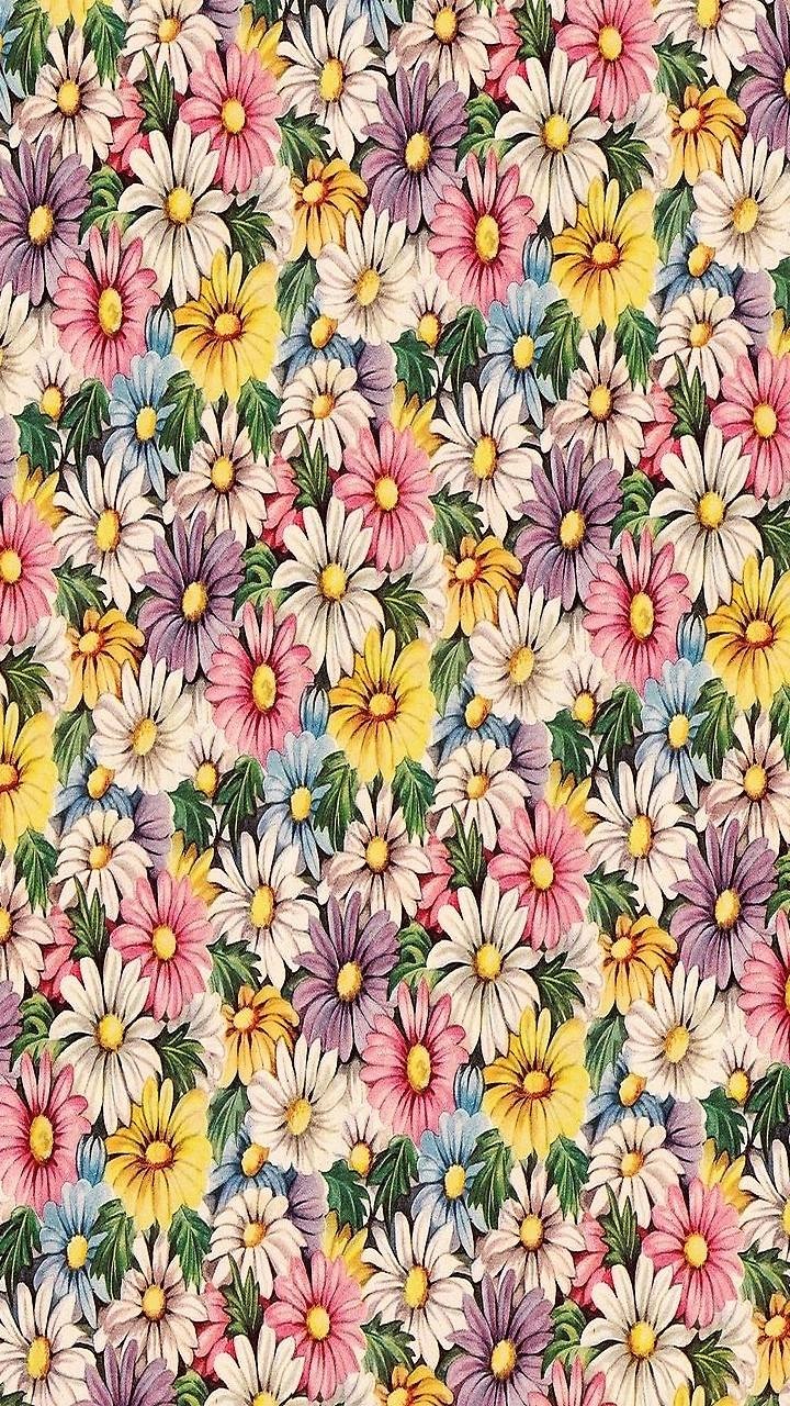 Artistic Flower, Daisy, Colors, Colorful, 720x1280, Phone HD Wallpaper
