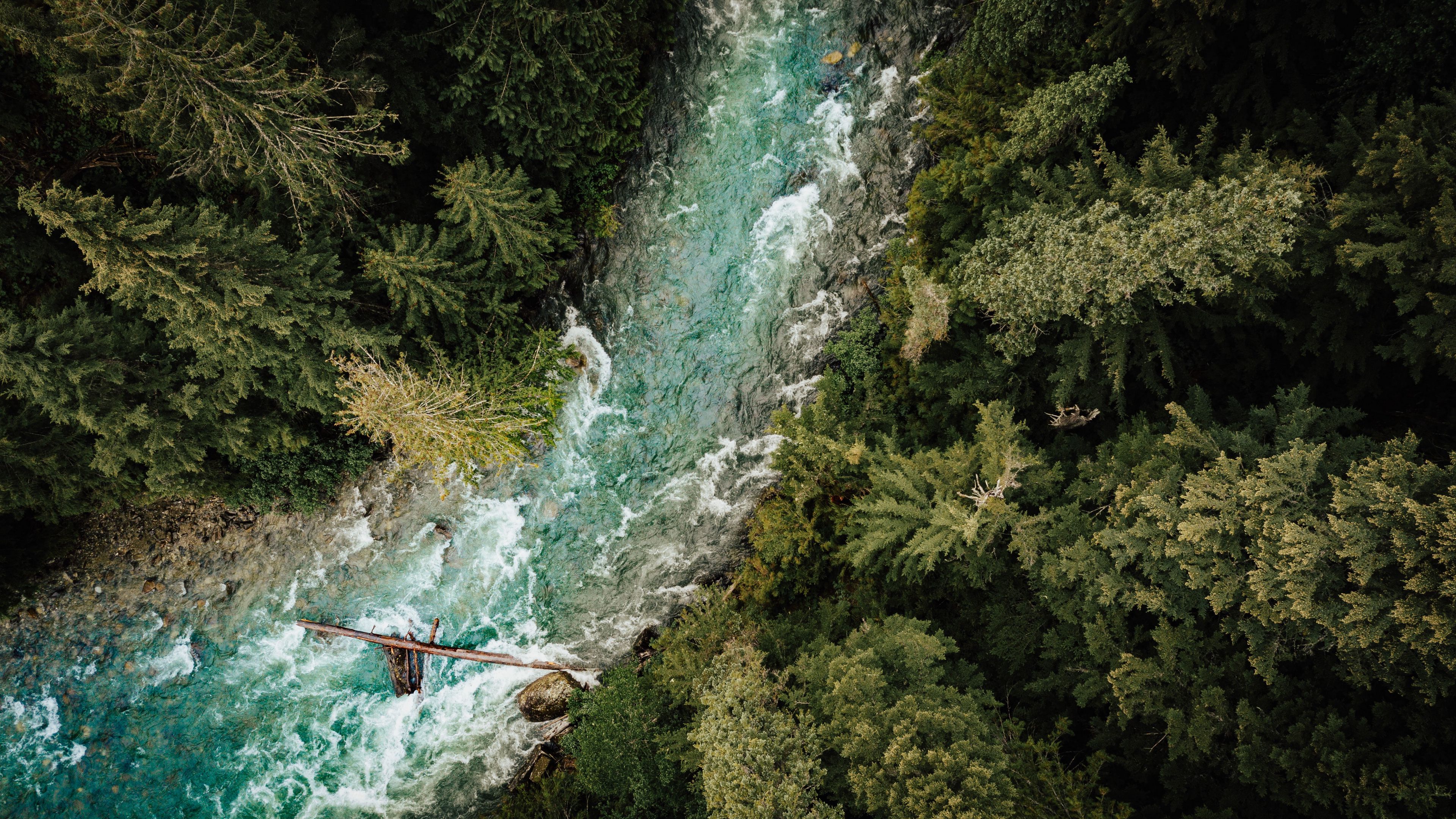 river, forest, aerial view, trees, water, 4k, HD Wallpaper