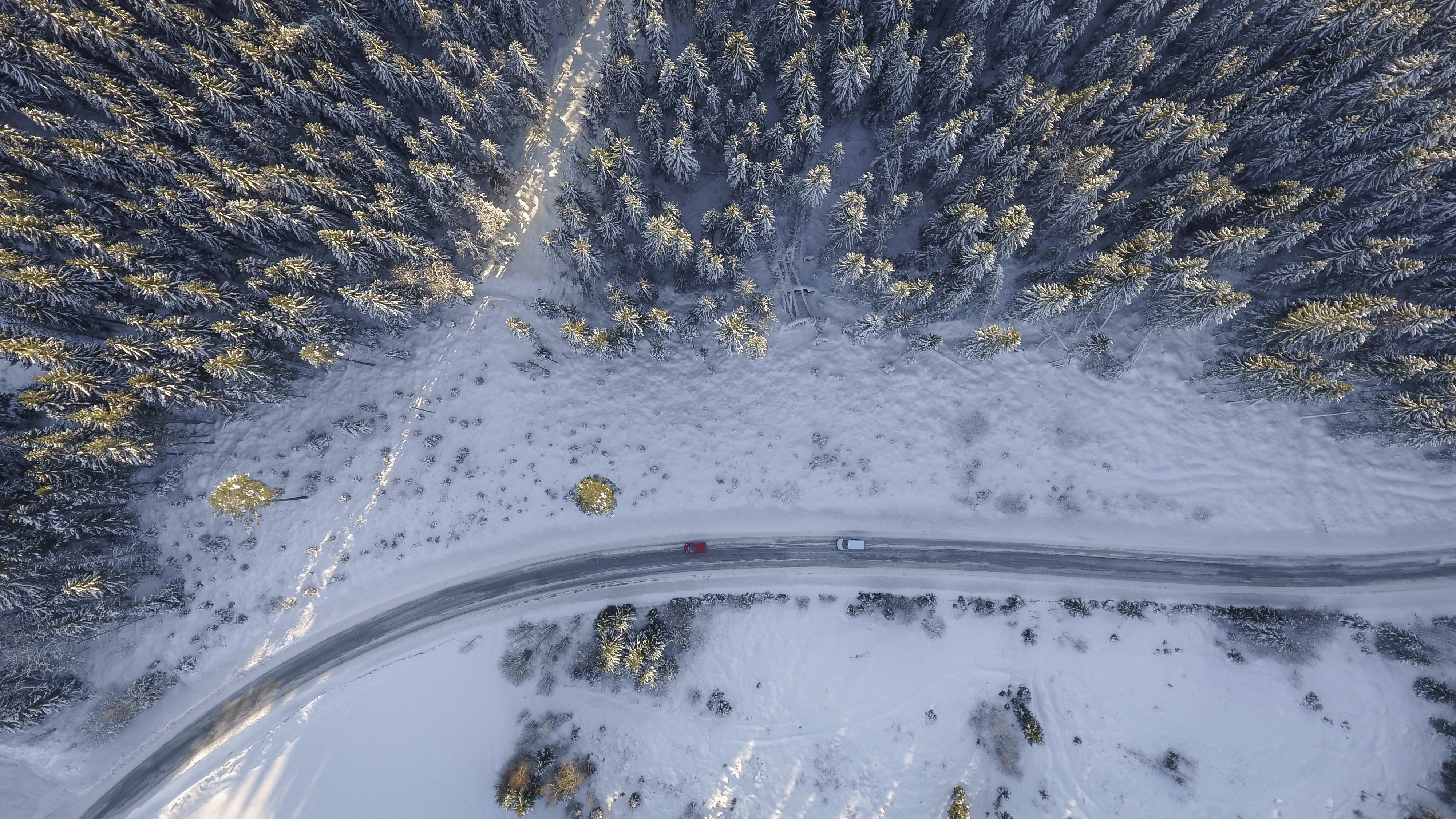 road, trees, winter, nature, hd, 4k, HD Wallpaper