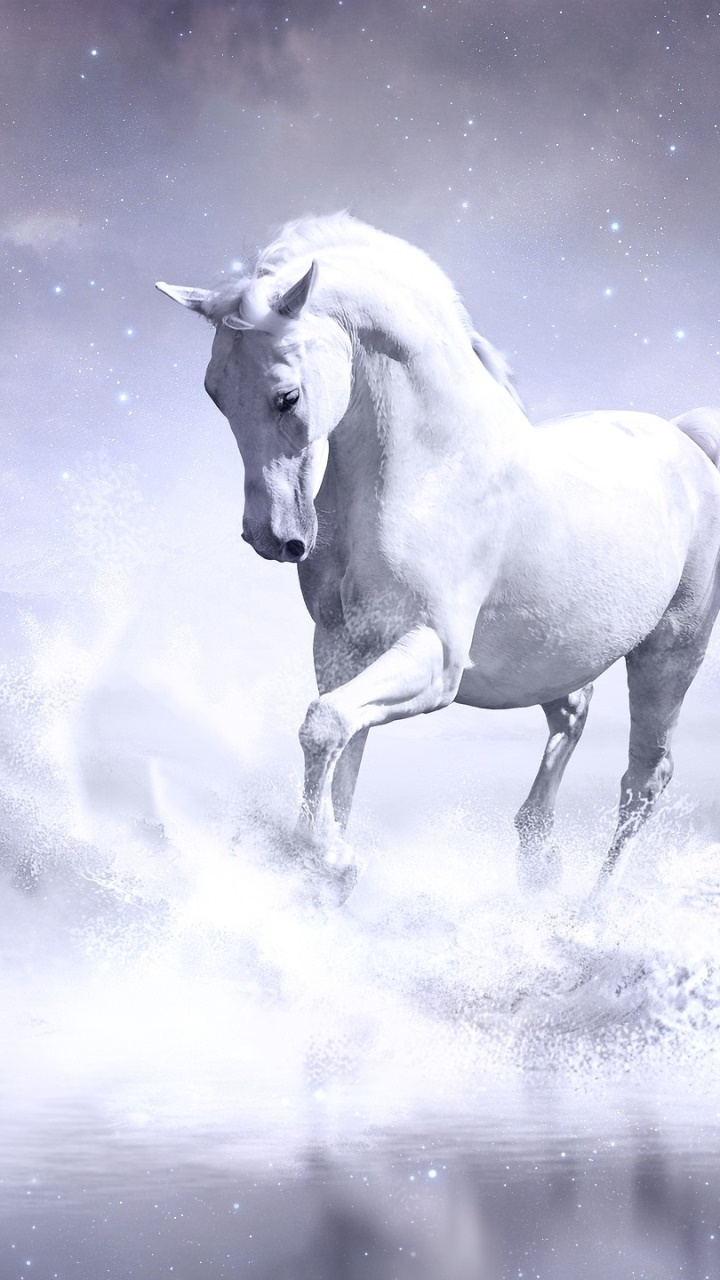 Animal Horse, 720x1280, Phone HD Wallpaper