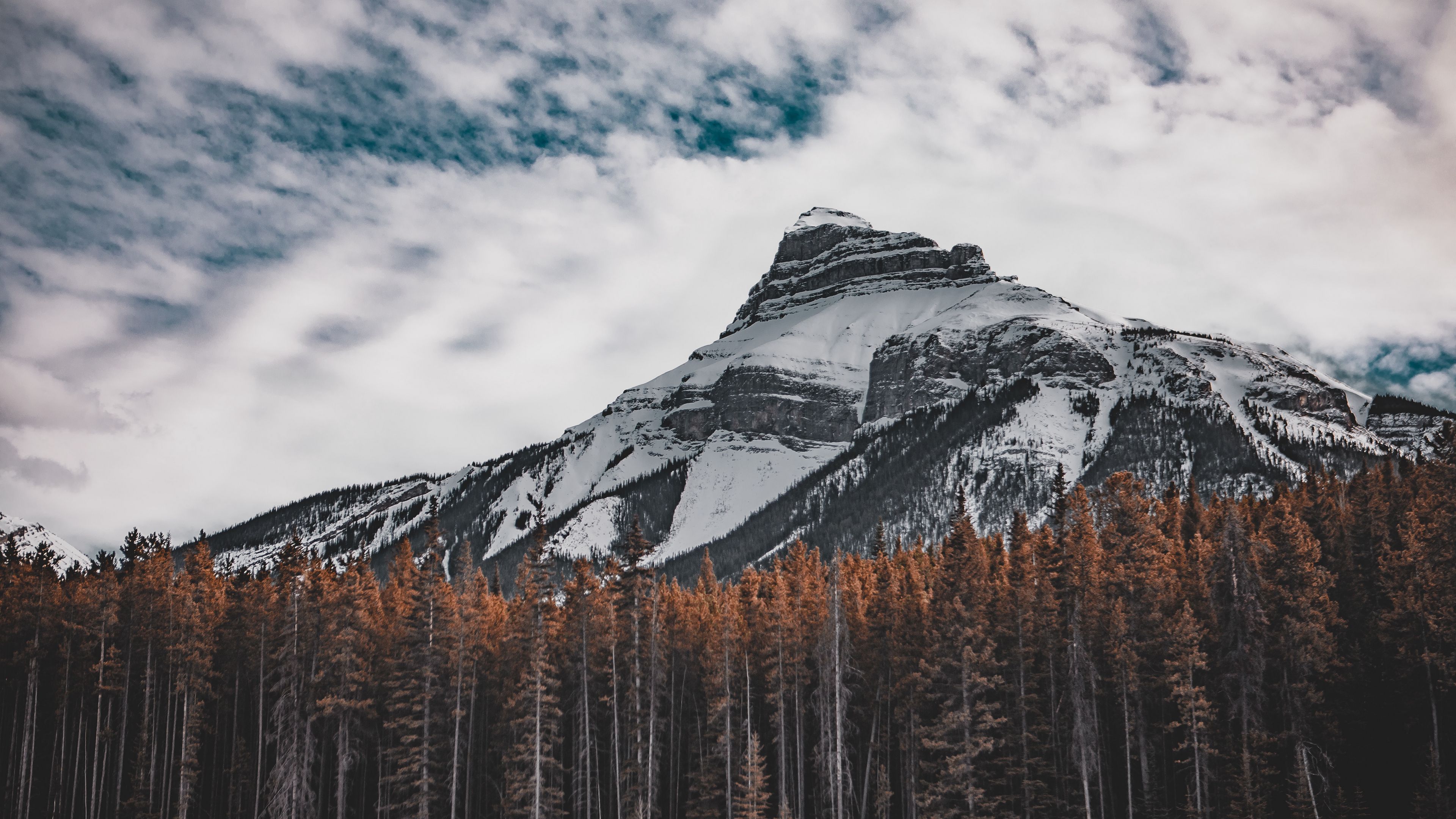 mountain, bottom view, trees, sky, 4k, HD Wallpaper
