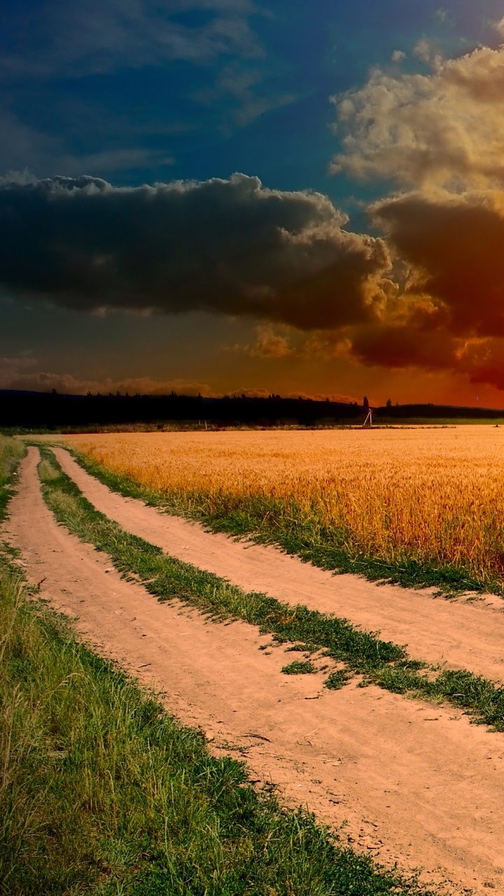 Earth Sunset, Field, Path, Manipulation, Sky, Cloud, 720x1280, Phone HD Wallpaper