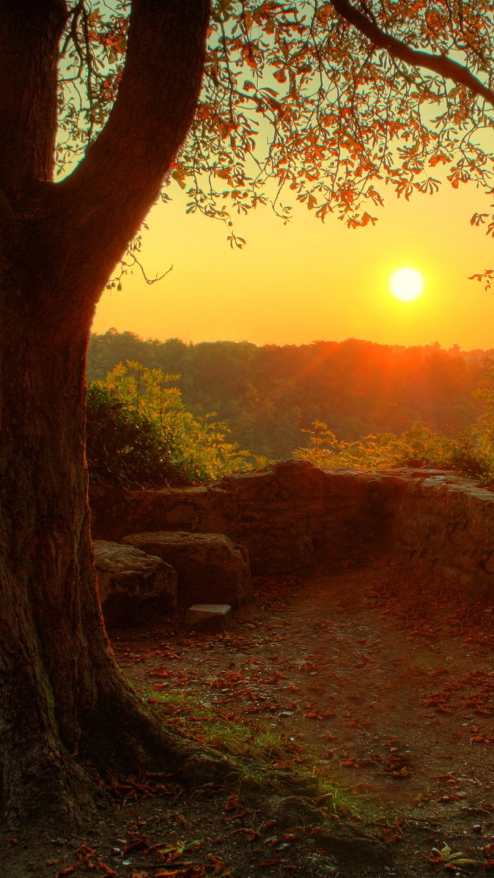 Earth Sunset, 720x1280, Phone HD Wallpaper