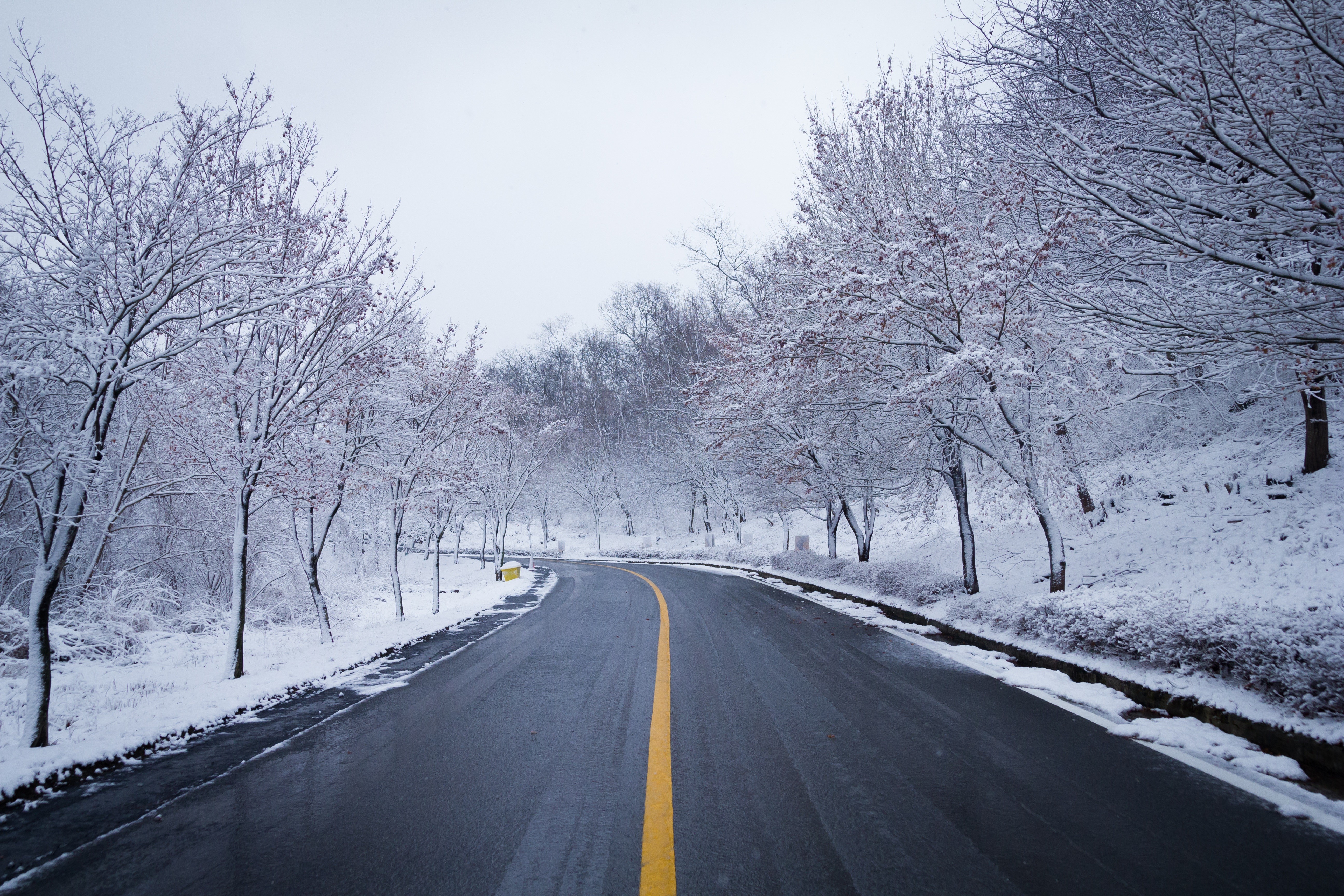 snow, winter, ice, scenery, hd, 4k, 5k, trees, road, HD Wallpaper