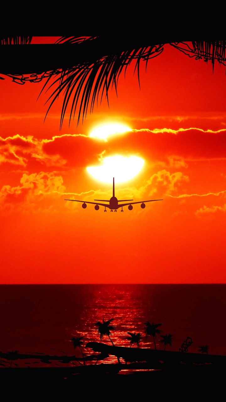 Earth Sunset, Airplane, Flight, Cloud, Evening, Palm Tree, 720x1280, Phone HD Wallpaper