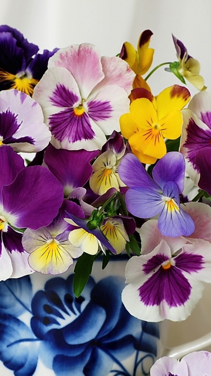 Earth Flower, Vase, Colorful, Pansy, Earth, 720x1280, Phone HD Wallpaper