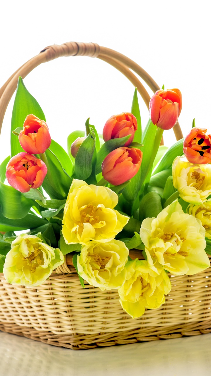Man Made Flower, Basket, Orange Flower, Orange (Color), Tulip, Earth, 720x1280, Phone HD Wallpaper